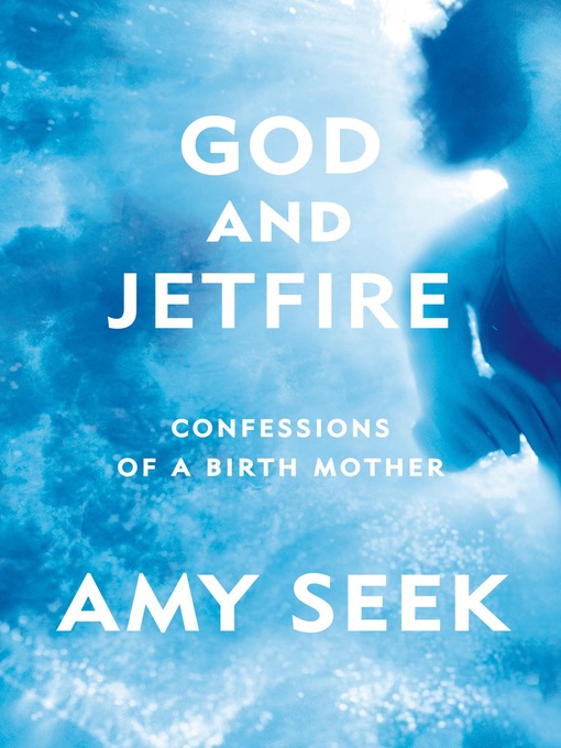 Title details for God and Jetfire by Amy Seek - Wait list